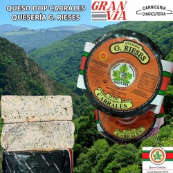 Queso DOP Cabrales mini de la quesería G. Rieses (650 gramos)